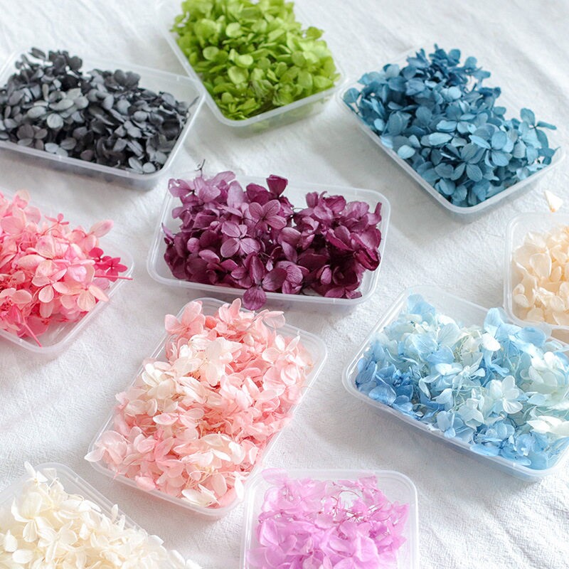绣球永生花瓣材料包小盒精品手工婚礼干花散装制作渐变礼品摆件