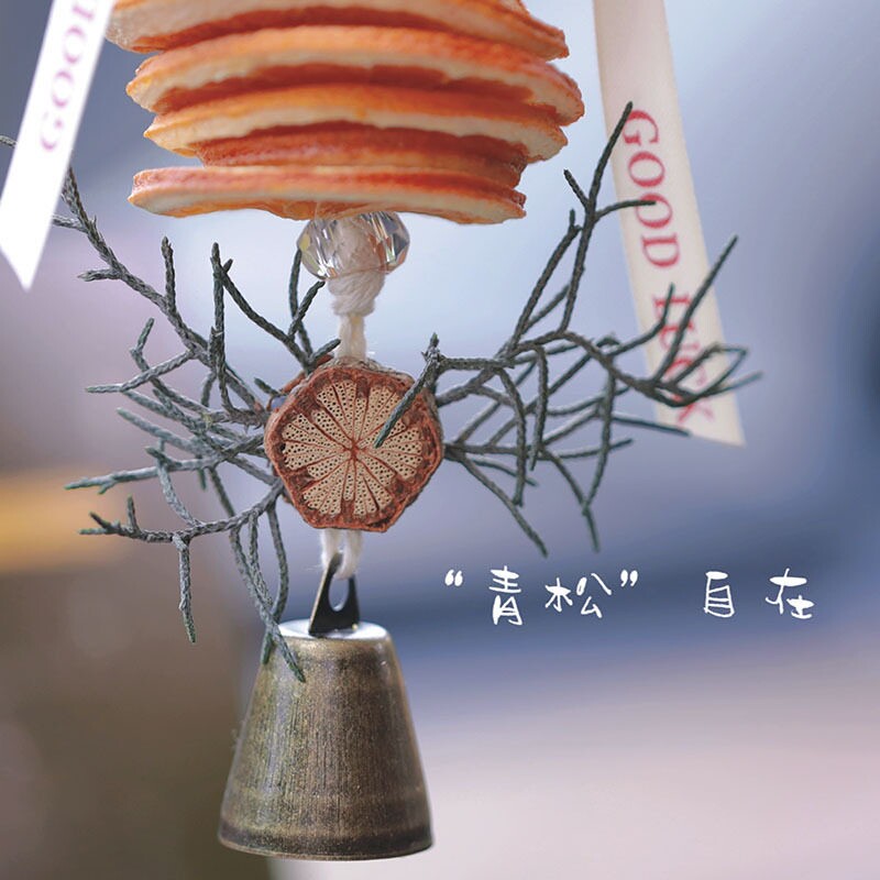 橙片材料包亲子活动创意香薰布置挂件组合多种橙子手工汽车干片
