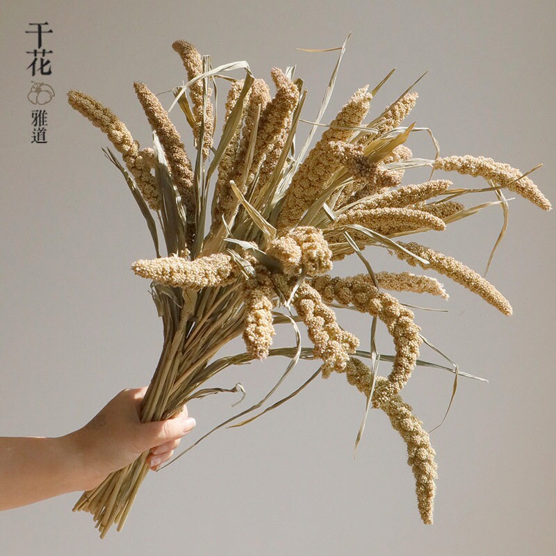 北欧芦苇干花花束蒲苇婚庆装饰麦子婚礼家居店铺展厅落地室内新品