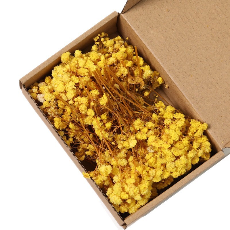满天星diy永生花花店摆设家用客厅壁挂道具填充装饰摆件包装制作