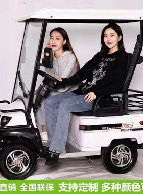 小巴士E600老年人代步车接送孩子四轮景区观光车高尔夫球车