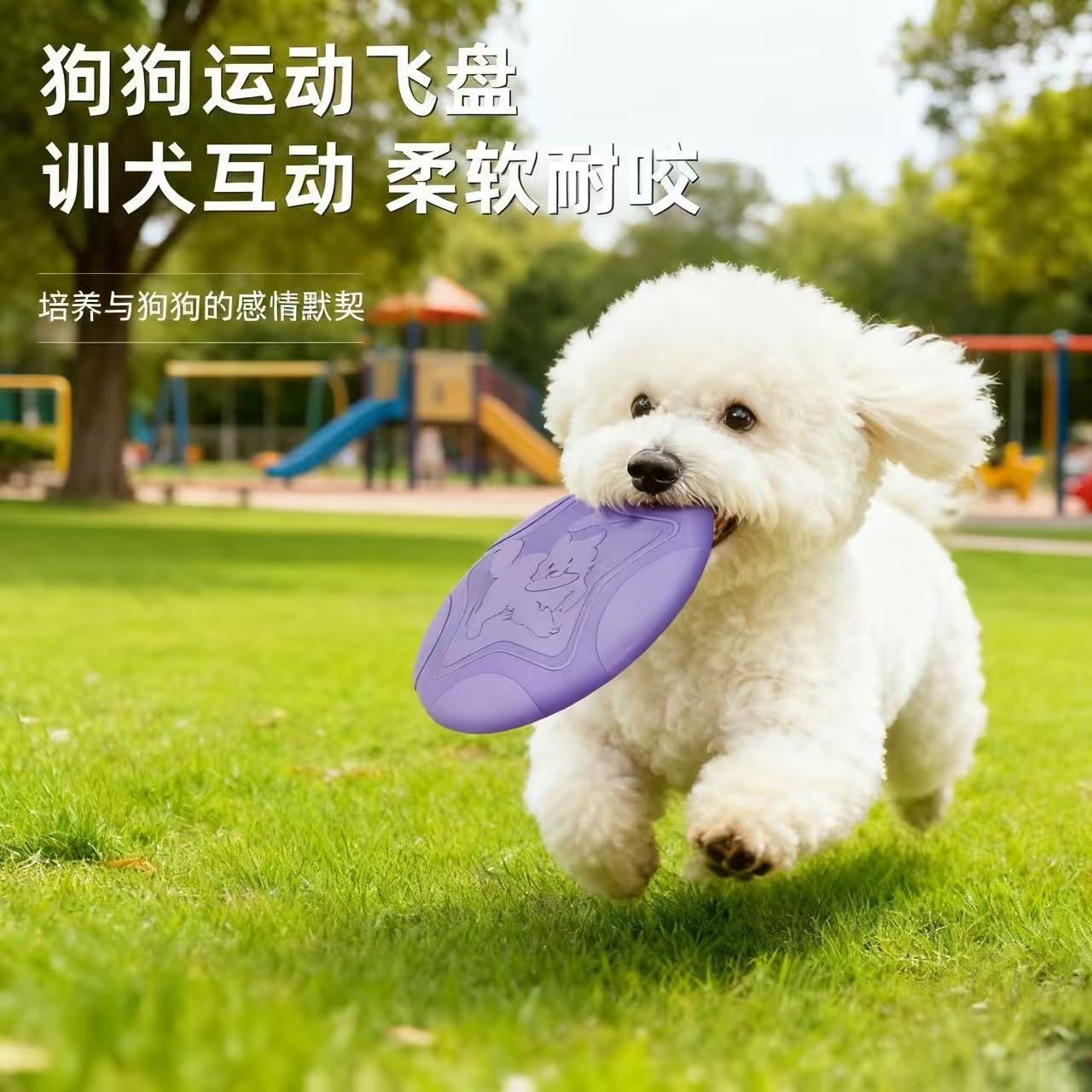 飞盘狗狗玩具户外互动训练耐咬专