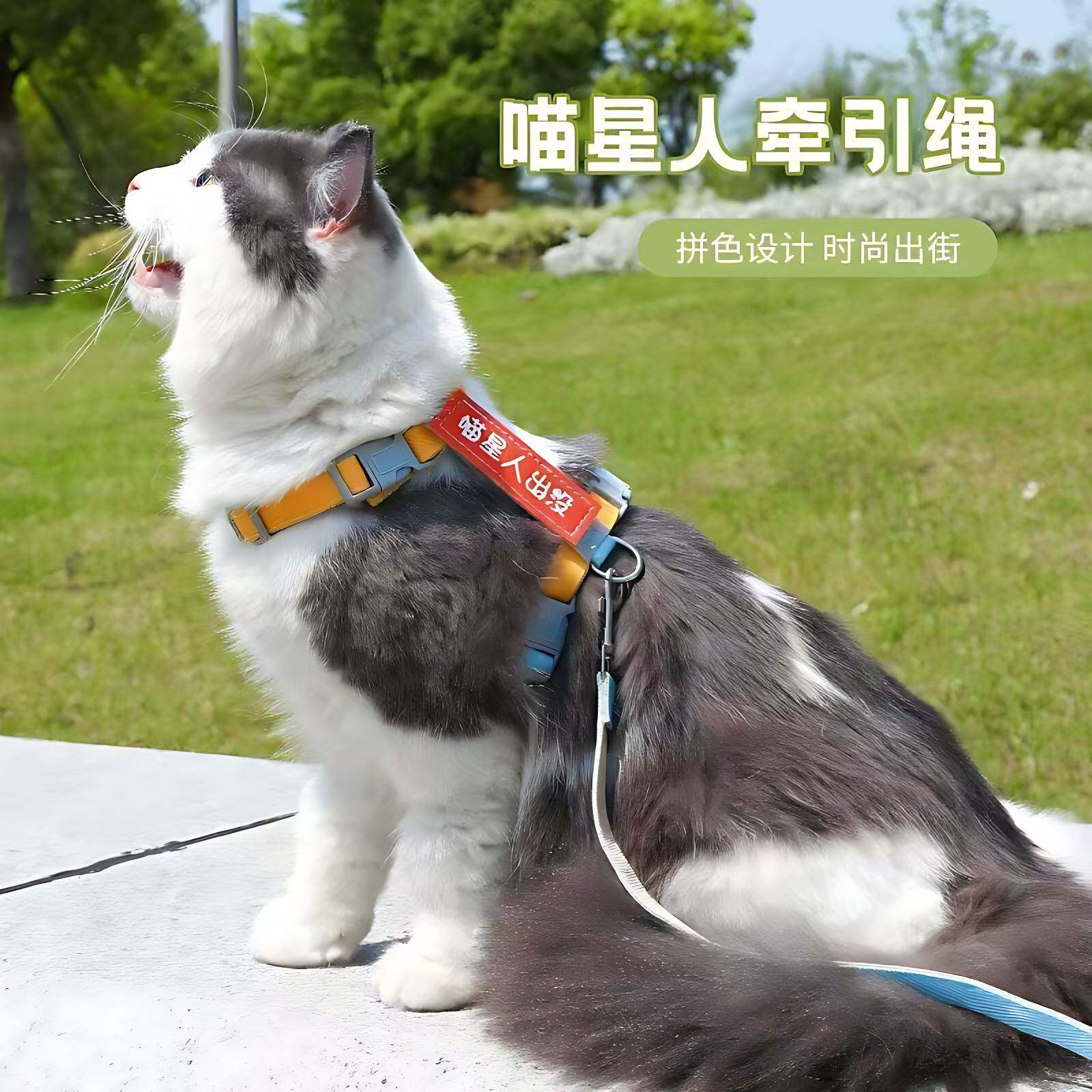 宠物牵引绳公主风猫咪专用四季可