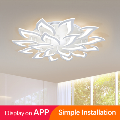 IRALAN Modern Fashion Designer Black Led Ceiling Light Art D