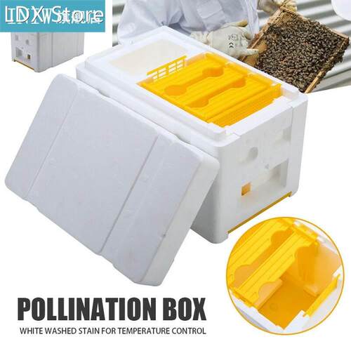 Bee Hive Beekeeping King Box Pollination Box Foam Frames Bee