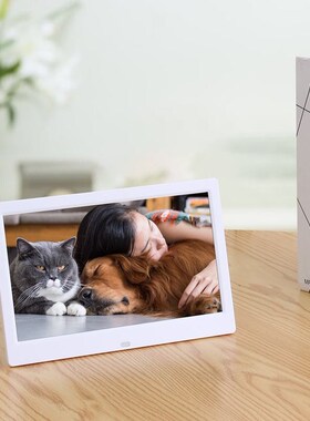 10 Inch 1024x600 HD Digital Photo Frame Picture Electronic A
