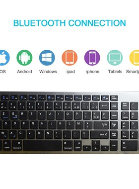 Zienstar AZERTY FRENCH Wireless Bluetooth Keyboard for Ipad
