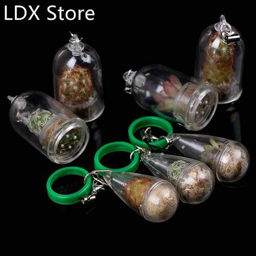 1 PC Cactus Miniature Succulent Cactus Terrarium Wearable Ne