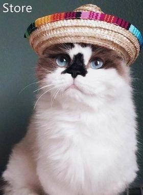 Mexican Straw Sombrero Pets Cap Hat Dog Cat Headband Adjusta