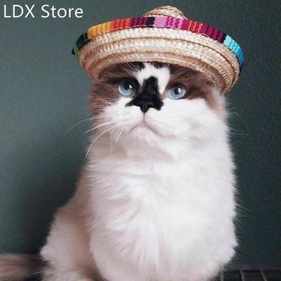 Mexican Straw Sombrero Pets Cap Hat Dog Cat Headband Adjusta