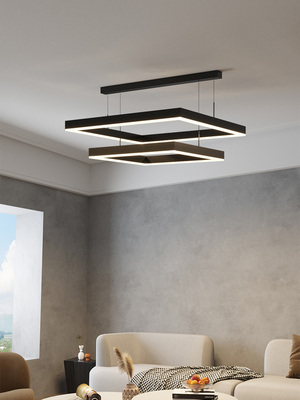 living room pendent lamp  new modern concise  Ceiling chande