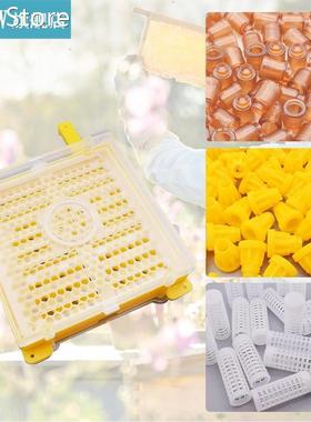 Bee Rearing Box Queen Breeding Kit Bee Incubator Beekeeping