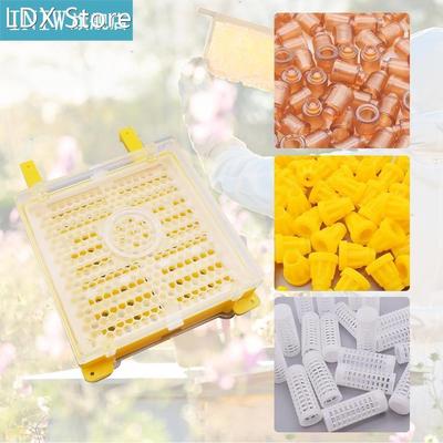 Bee Rearing Box Queen Breeding Kit Bee Incubator Beekeeping