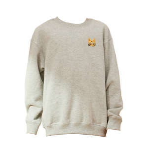 hugz男女童卫衣春秋新款排汗套头卫衣卫裤儿童童装