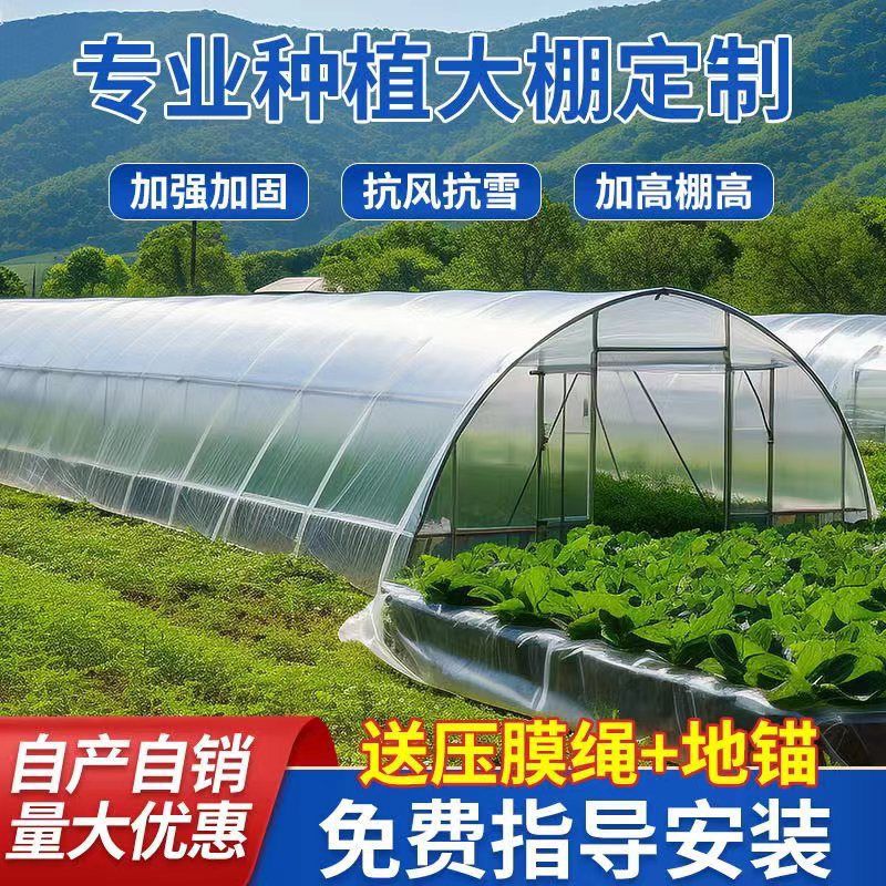 种植大棚全套大棚骨架养殖大棚鸡棚养猪棚蔬菜大棚花卉棚保温大棚