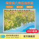 社 粤港澳大湾区地形图 星球社直营 1280mm 2025新版 3D立体地形图 星球地图出版 立体大全开 930mm