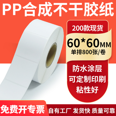 油胶PP合成纸不干胶标签纸60*60mm防油pet 条码打印贴纸6x6cm订制