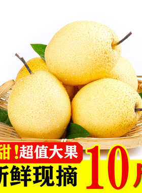 正宗河北雪梨梨子新鲜10斤水果鸭梨砀山梨翠冠梨当季整箱