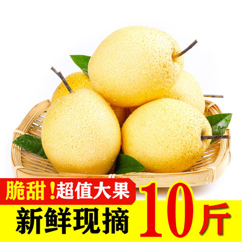 正宗雪梨水果鸭梨鲜惠语