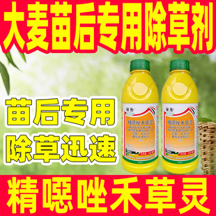 69克每升精噁唑禾草灵大麦苗后专用除草剂大麦田除草正品农药