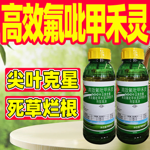 108克/升高效氟吡甲禾灵除草剂芦苇牛筋草杂草除草剂大豆田专用