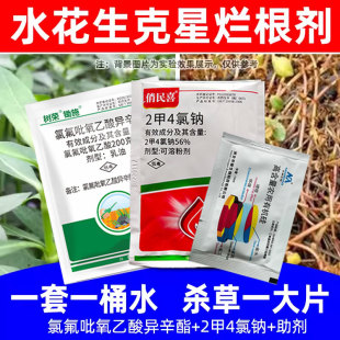 水花生克星除草烂根剂水花生专杀套装空心莲子草死草烂根除杂草