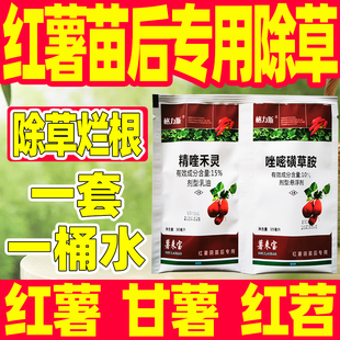 红薯苗后专用除草剂精喹禾灵唑嘧磺草胺甘薯红苕除草剂正品农药