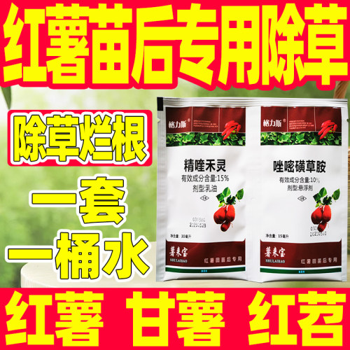 红薯苗后专用除草剂红苕除草剂