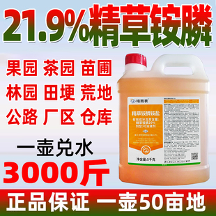 晴雨表20%精草铵磷铵盐除草剂精草胺磷铵盐正品 精草胺膦草铵膦