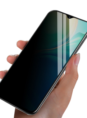 中兴畅行40SE防窥ZTE1021L钢化膜