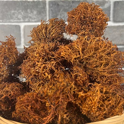 云南楚雄大姚特产野生树花菜树皮树花树胡子凉拌菜山珍干货500克