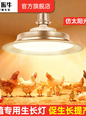 鸡舍动物生长灯鸟类鸽子繁殖灯宠物禽畜养殖场专用全光谱补光灯