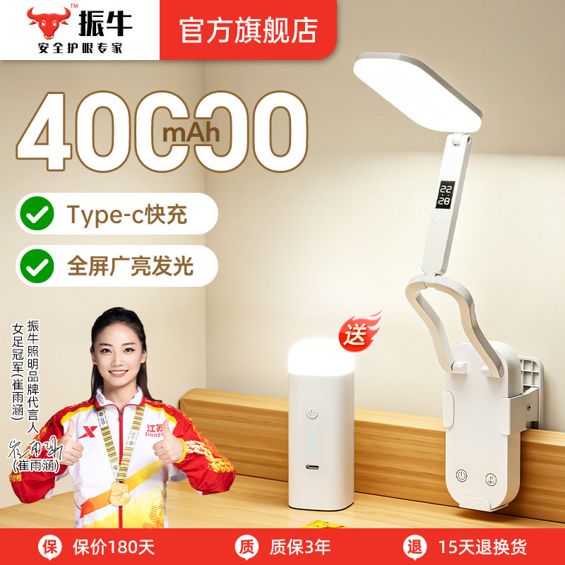 买一送一】便携式护眼充电台灯图片