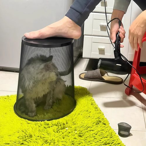 宠物吹干猫咪防抓咬洗澡专用