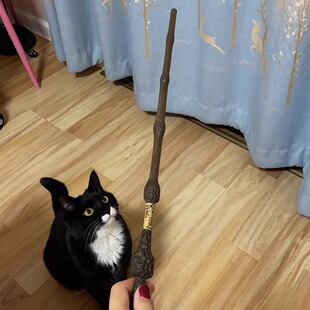 哈利波特周边魔杖可发光喷可发射可施咒安全互动魔术道具生日礼物