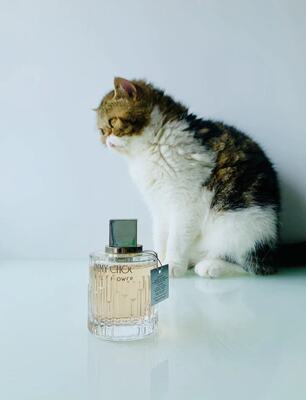 花千约禁花女士淡香水1ml3ml小样