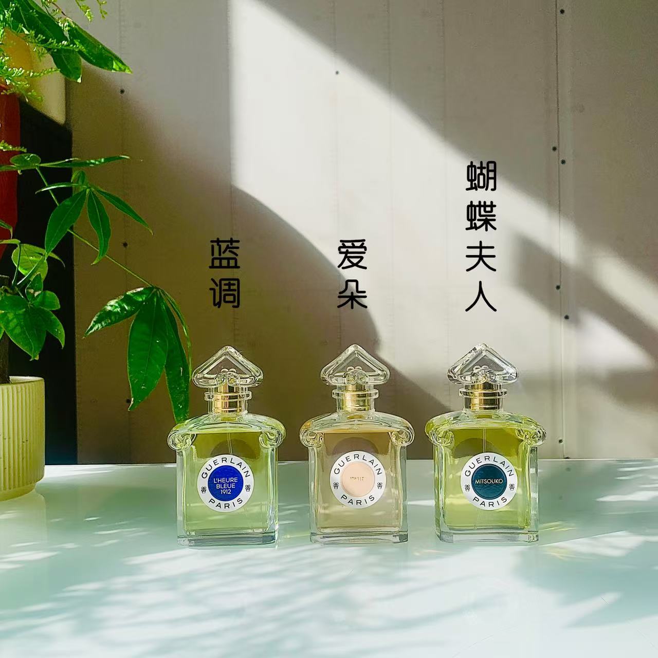 小样蓝调时光爱朵蝴蝶夫人香水