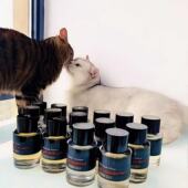 贵妇肖像一轮玫瑰狂野麝香香根草木兰之水醉人晚香玉