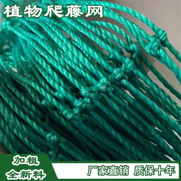 种植方格网定植大葱菊花韭菜蒜黄芹菜石斛康乃馨防倒网植物爬藤网
