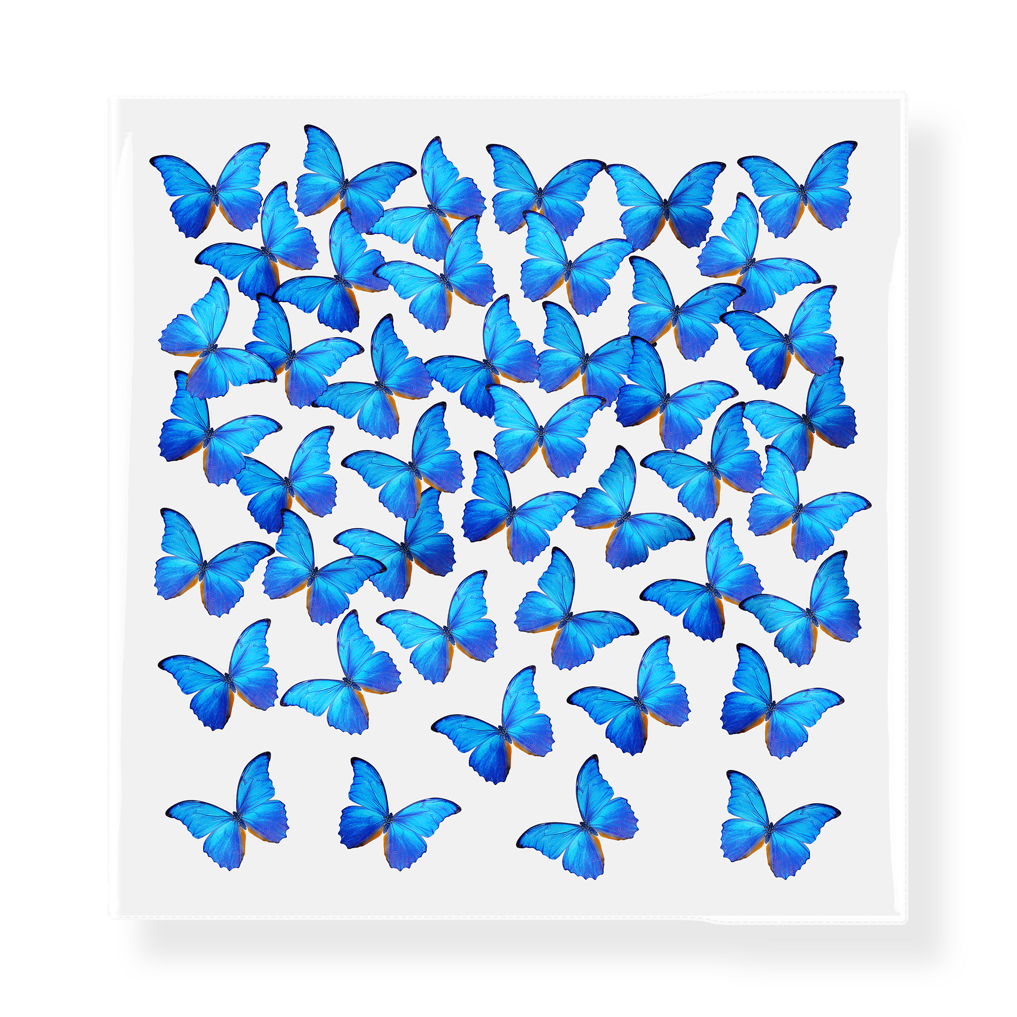 小清新相册本影集照片照片收纳本生日礼物情侣手工DIY周年纪念册