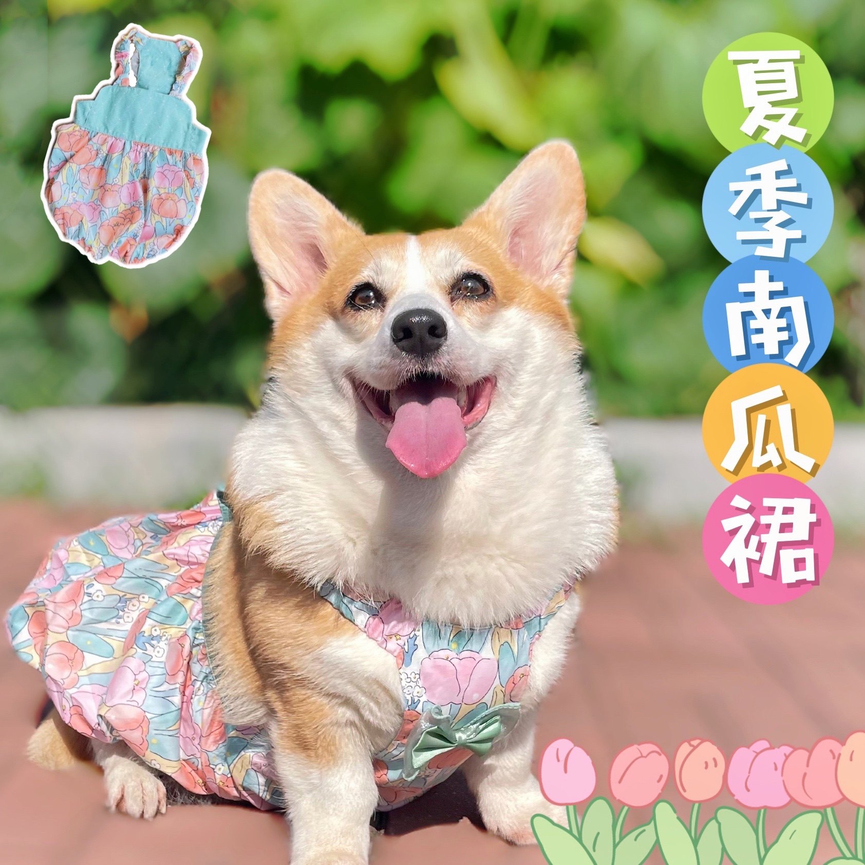宠物狗狗春夏季花朵南瓜裙蝴蝶结小清新吊带蓬蓬裙柯基柴犬公主裙