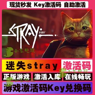 CDKEY在线猫猫模拟器PC游戏 国区全球区激活码 Stray迷失 Steam正版