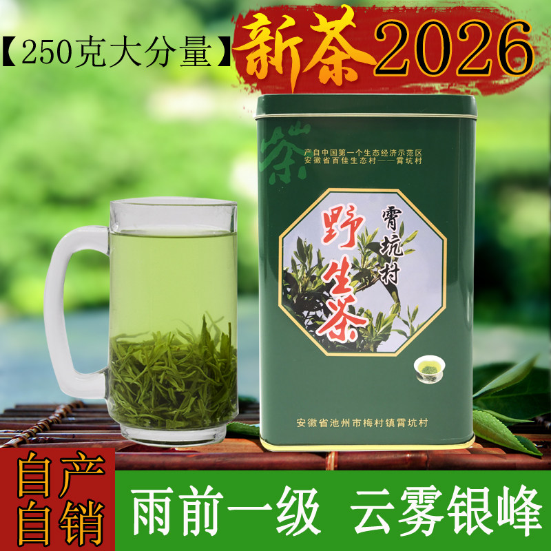 2026新茶安徽池州肖坑霄坑茶叶野生茶绿茶高山雨前一级250g
