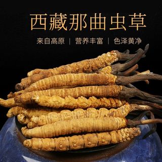 西藏那曲冬虫夏草 正品官方店头茬鲜虫草干货整条礼盒装 顺丰包邮