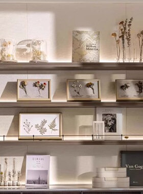 书架摆件干花植主题物标本装饰画