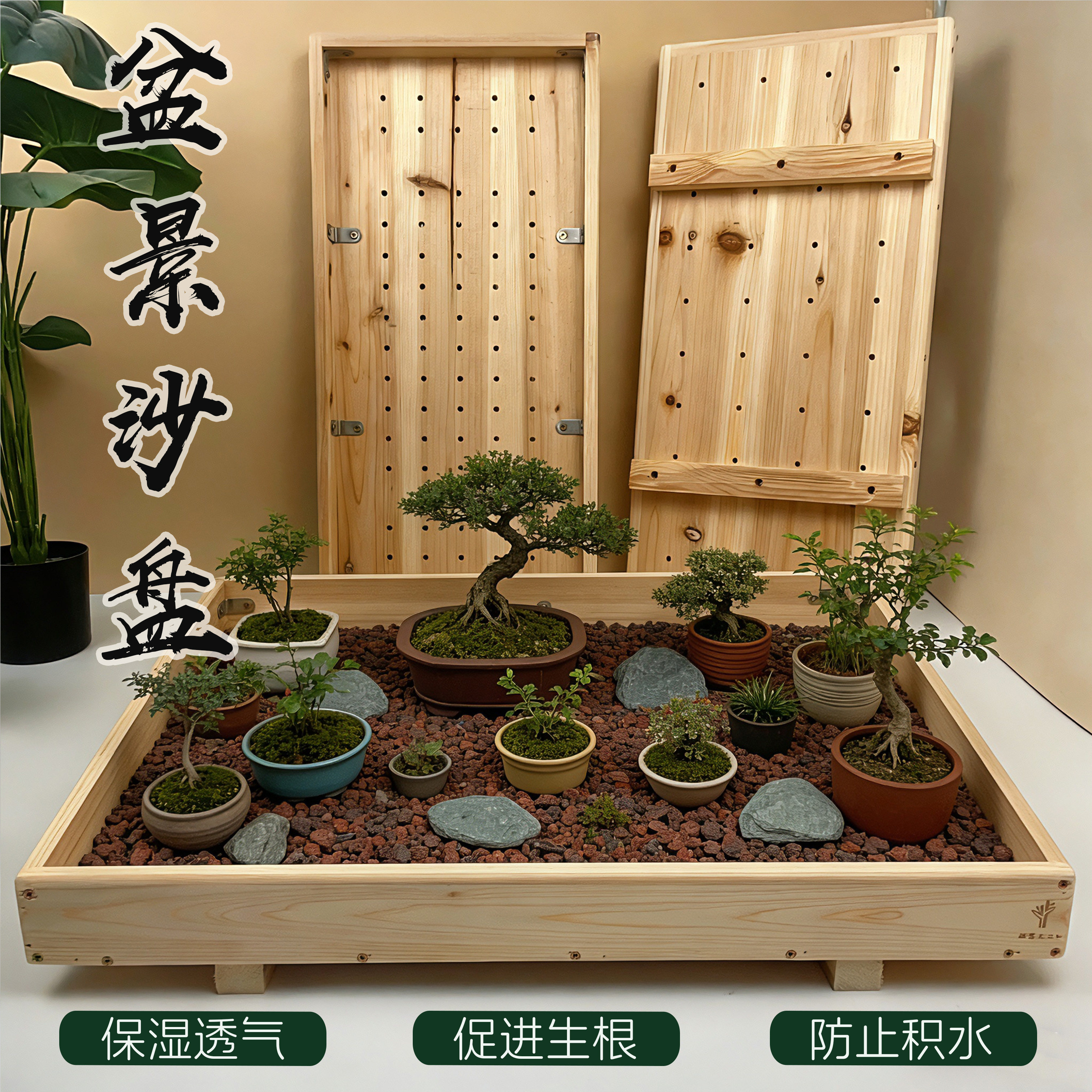 盆景养护杜鹃松柏多肉栽培育苗盆促生根防积水加密保湿透气木沙盘
