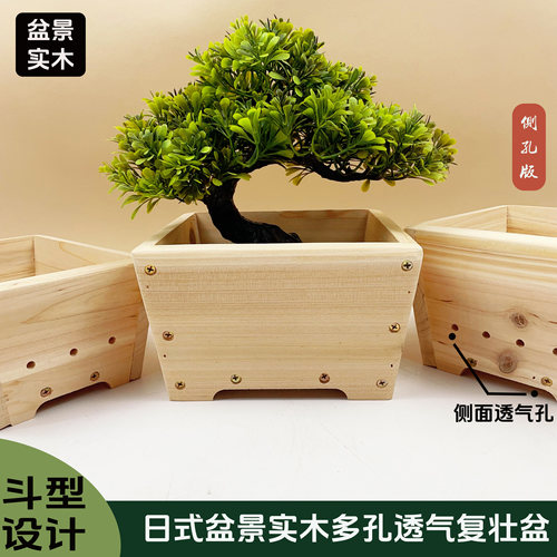 杜鹃松柏多孔日式实木斗形木盆
