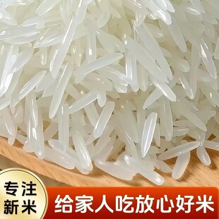 猫牙米正宗长粒香米象牙米软糯香甜有机无抛光细长米煲仔饭商用款
