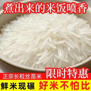 农家新米长粒香产地直供猫牙米当季现磨象牙米煮饭清香不沾连大米