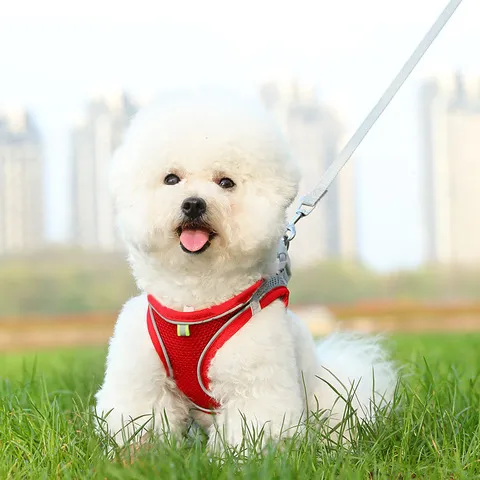 胸背带猫咪反光宠物用品牵引绳宠物胸背透气狗狗猫胸背